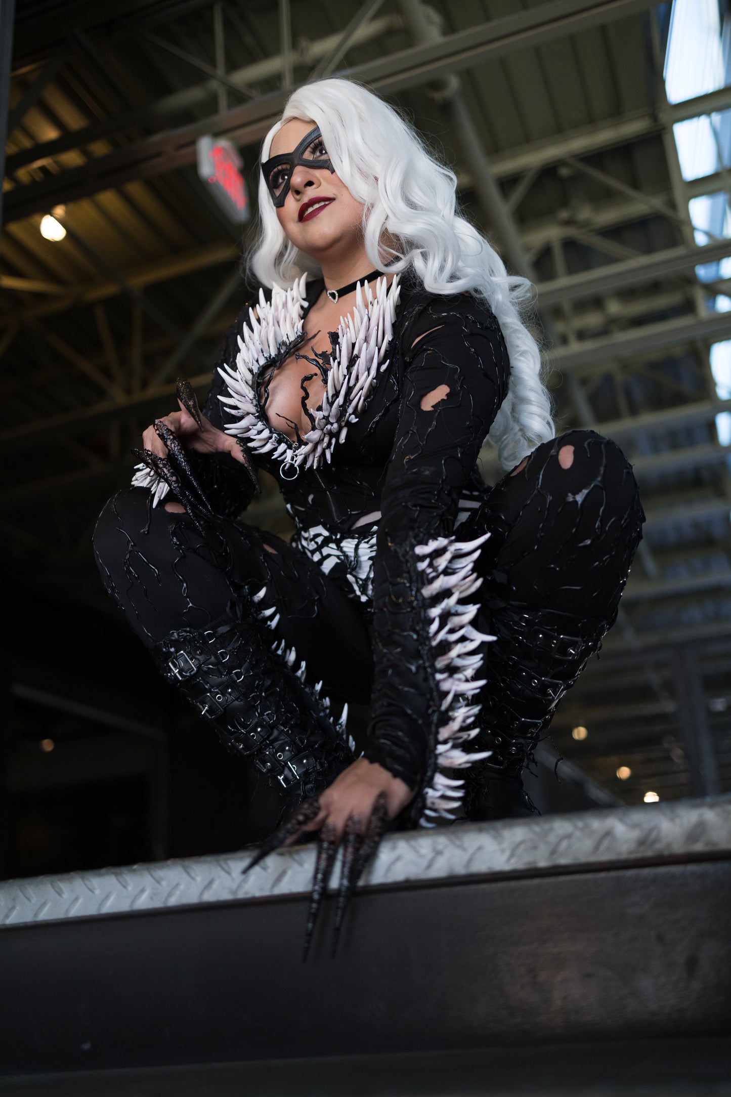 Black Cat Venom 1.4